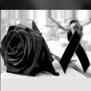 Meet your Posher, Martha